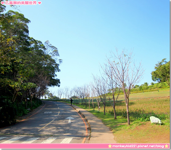 20140101大溪花海農場_32.jpg