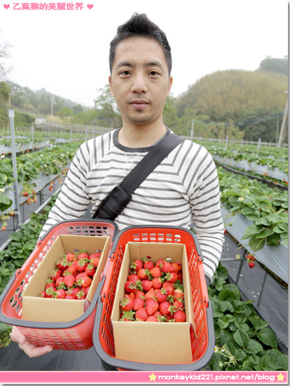 20140207山頂果園採草莓_28.jpg